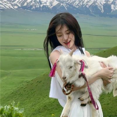 无声的证言第二十六季